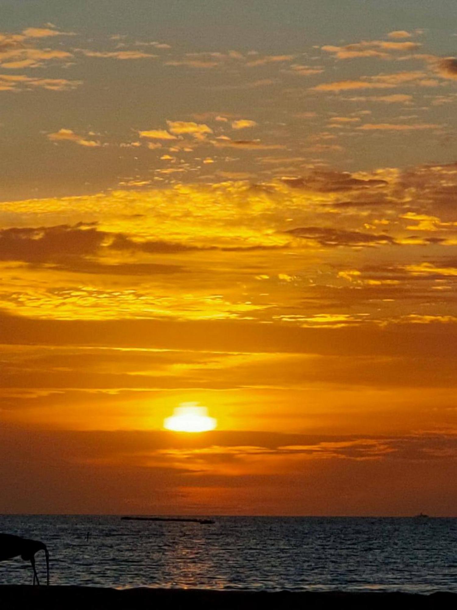 Wind Breeze Sunset View Inn Guraidhoo  Bagian luar foto
