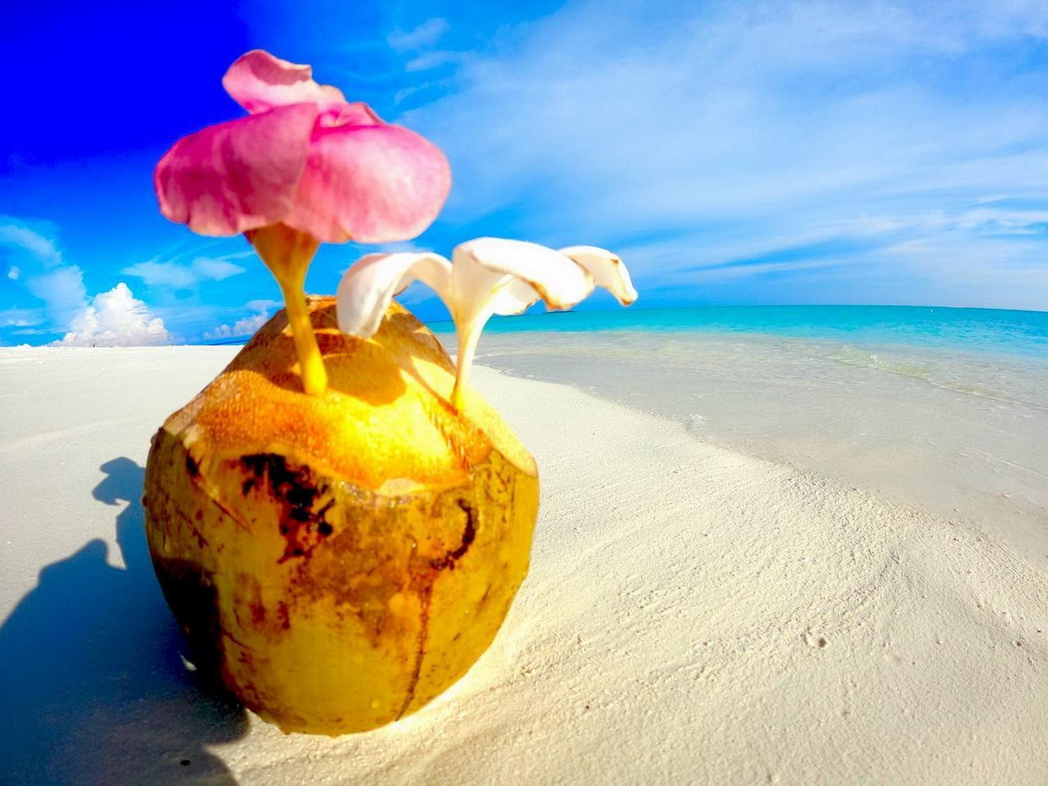 Wind Breeze Sunset View Inn Guraidhoo  Bagian luar foto