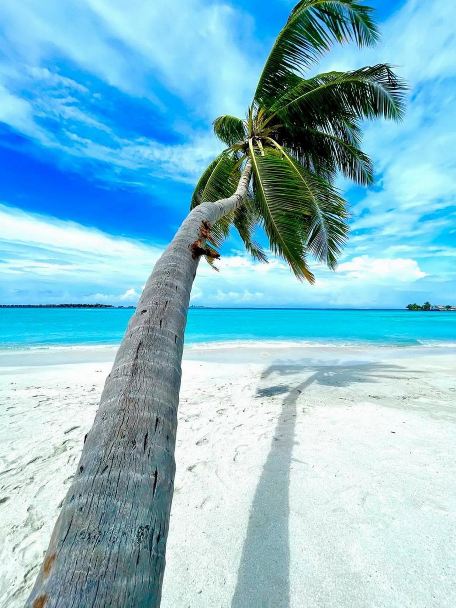 Wind Breeze Sunset View Inn Guraidhoo  Bagian luar foto